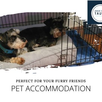 Urban Wags Taupo - Taupo - Pet Boarding and Daycare