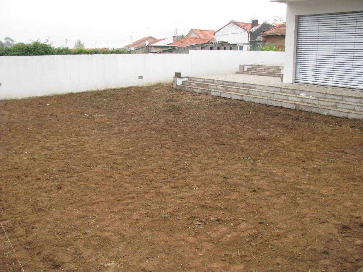 joaquim gouveia - Castelo de Paiva - Tree Stump Grinding and Removal