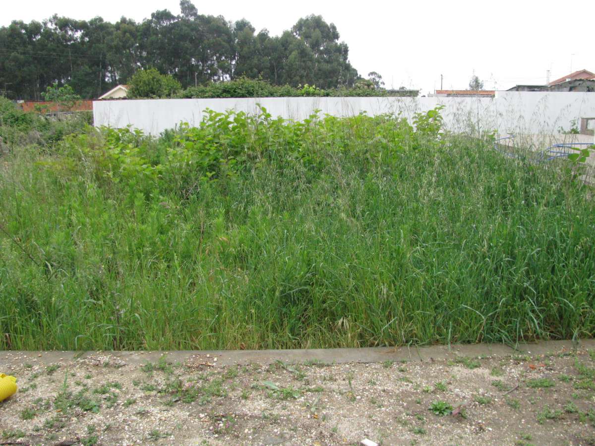 joaquim gouveia - Castelo de Paiva - Artificial Turf Installation