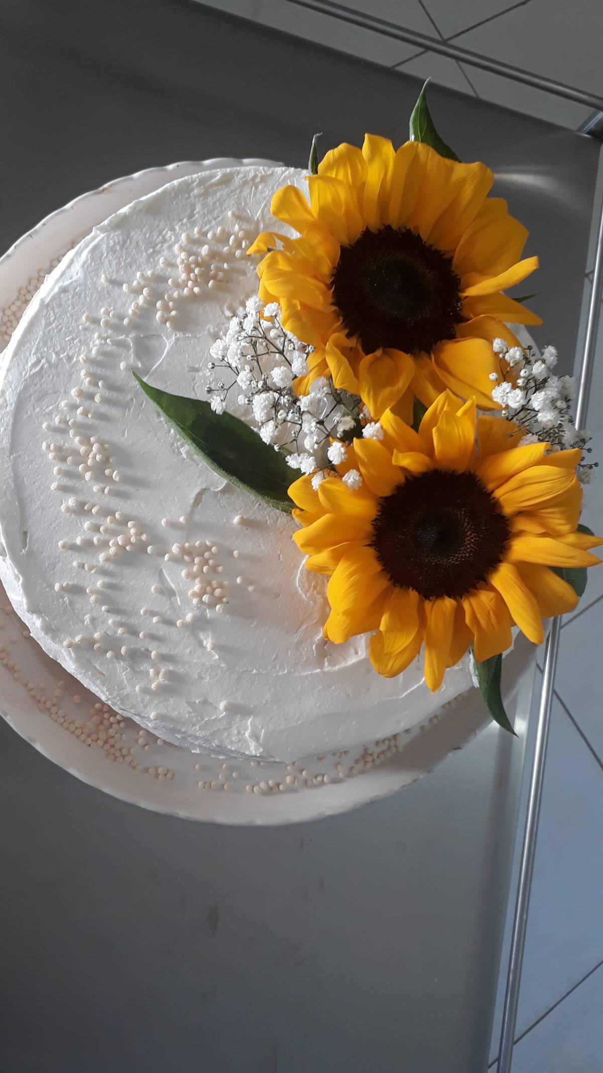 Terra Brasil Bistrô & Café - Vila Real - Drop-off Catering