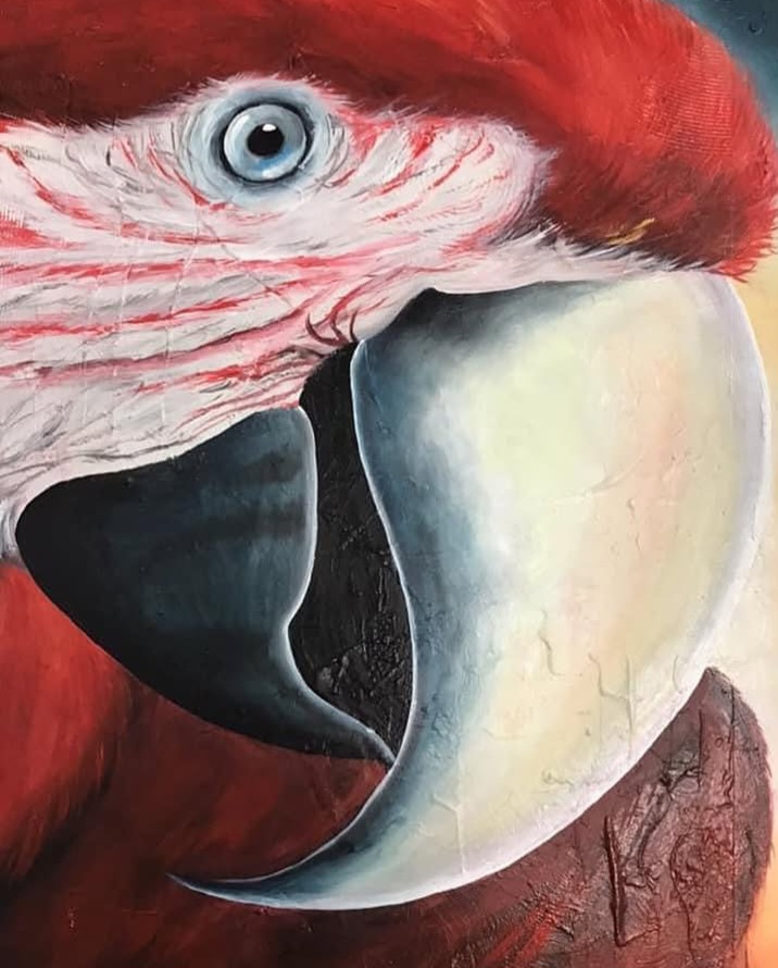 Atelier Meire Gomes - Faro - Cours de dessin, peinture et sculpture