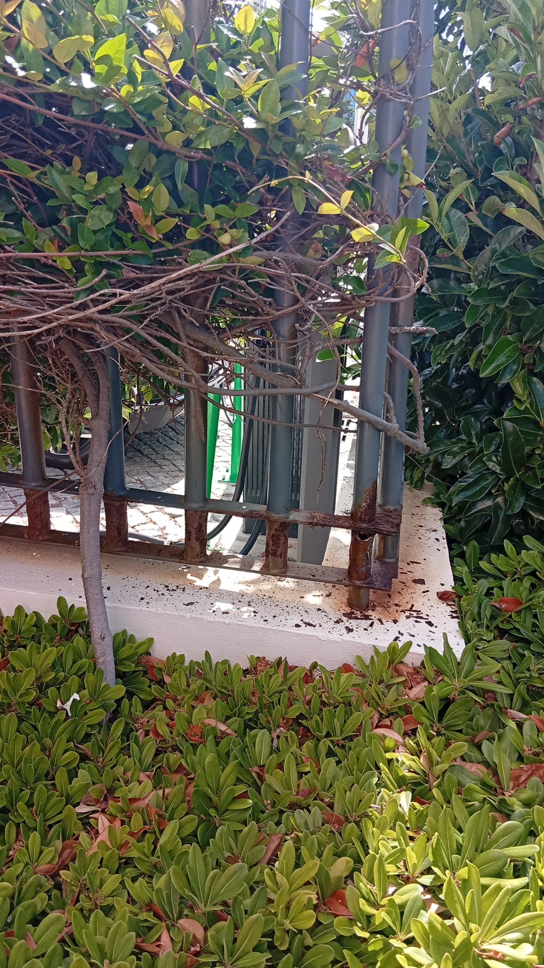 Construhelp - Torres Vedras - Pintura de Casas