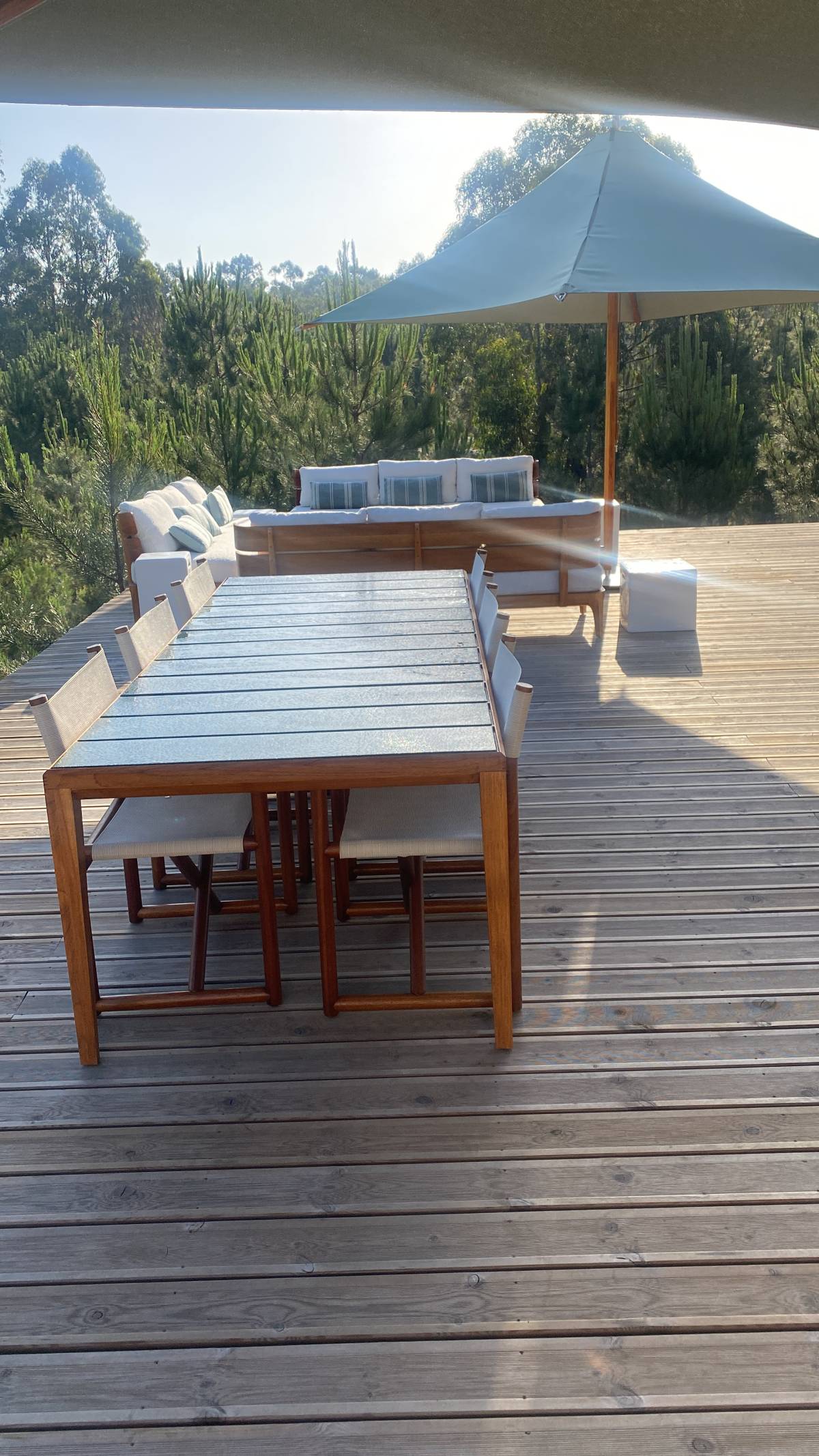 ELIENE 🤩 - Sesimbra - Limpeza de Tapete