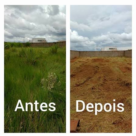 Pinguim amarelo lda. - Vila Nova de Famalicão - Poda e Manutenção de Árvores