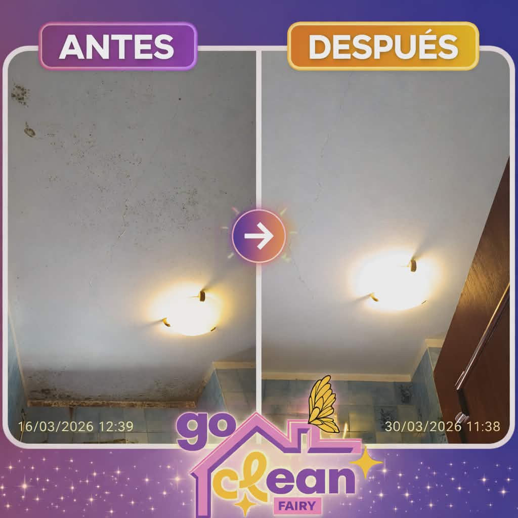 Go Clean Fairy - Póvoa de Varzim - Property Cleanup