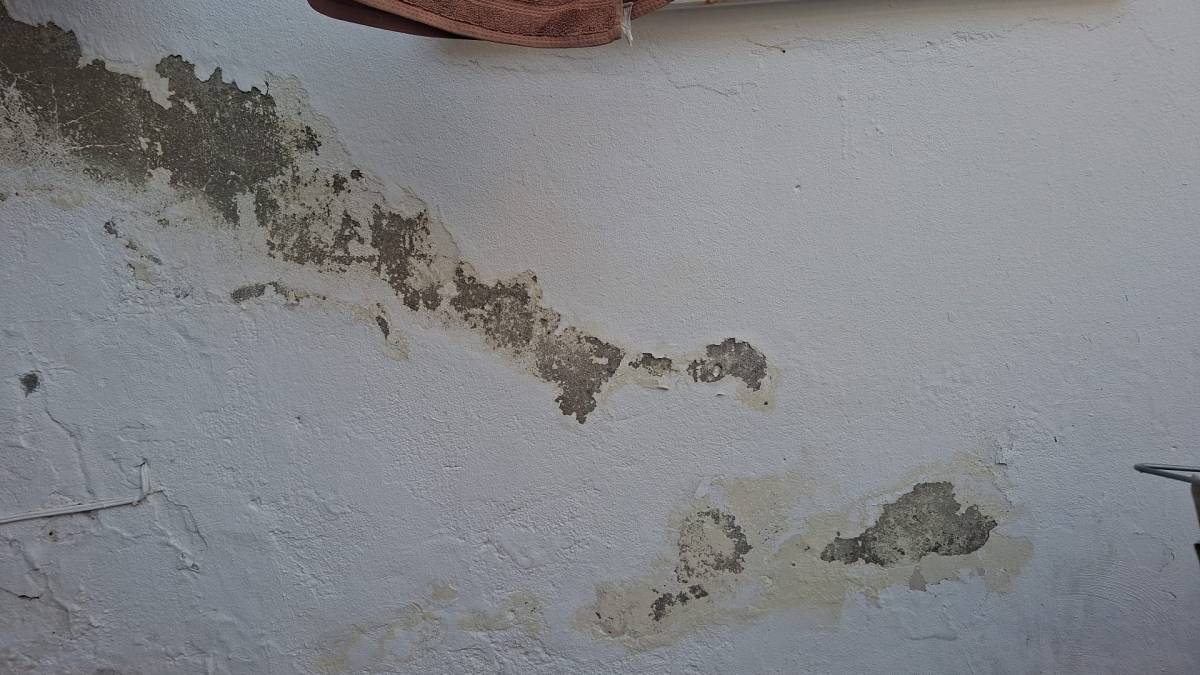 Construhelp - Torres Vedras - Pintura