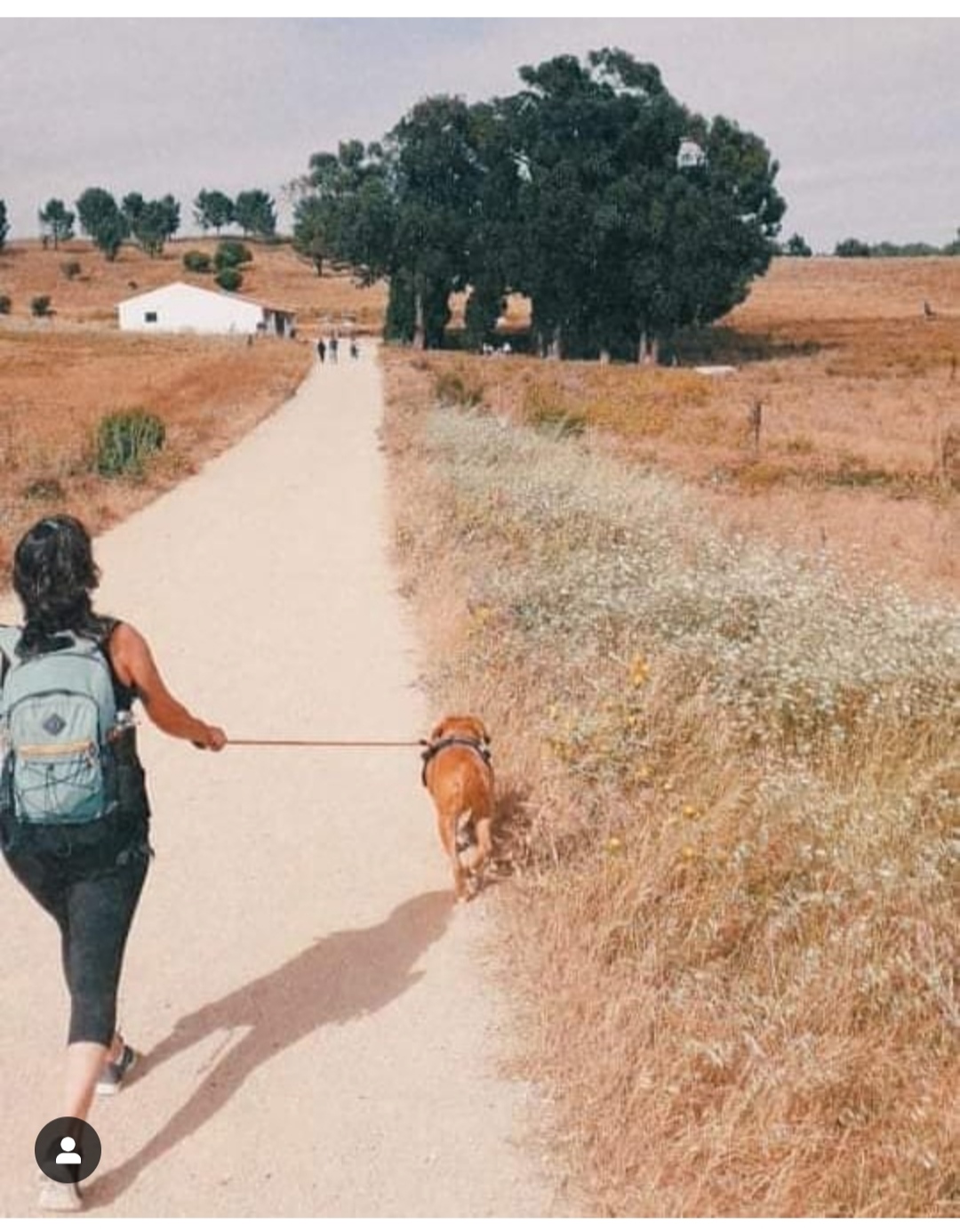 Xana Gonzalez - Almada - Dog Walking