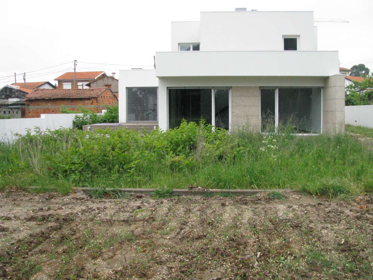 joaquim gouveia - Castelo de Paiva - Shrub Removal