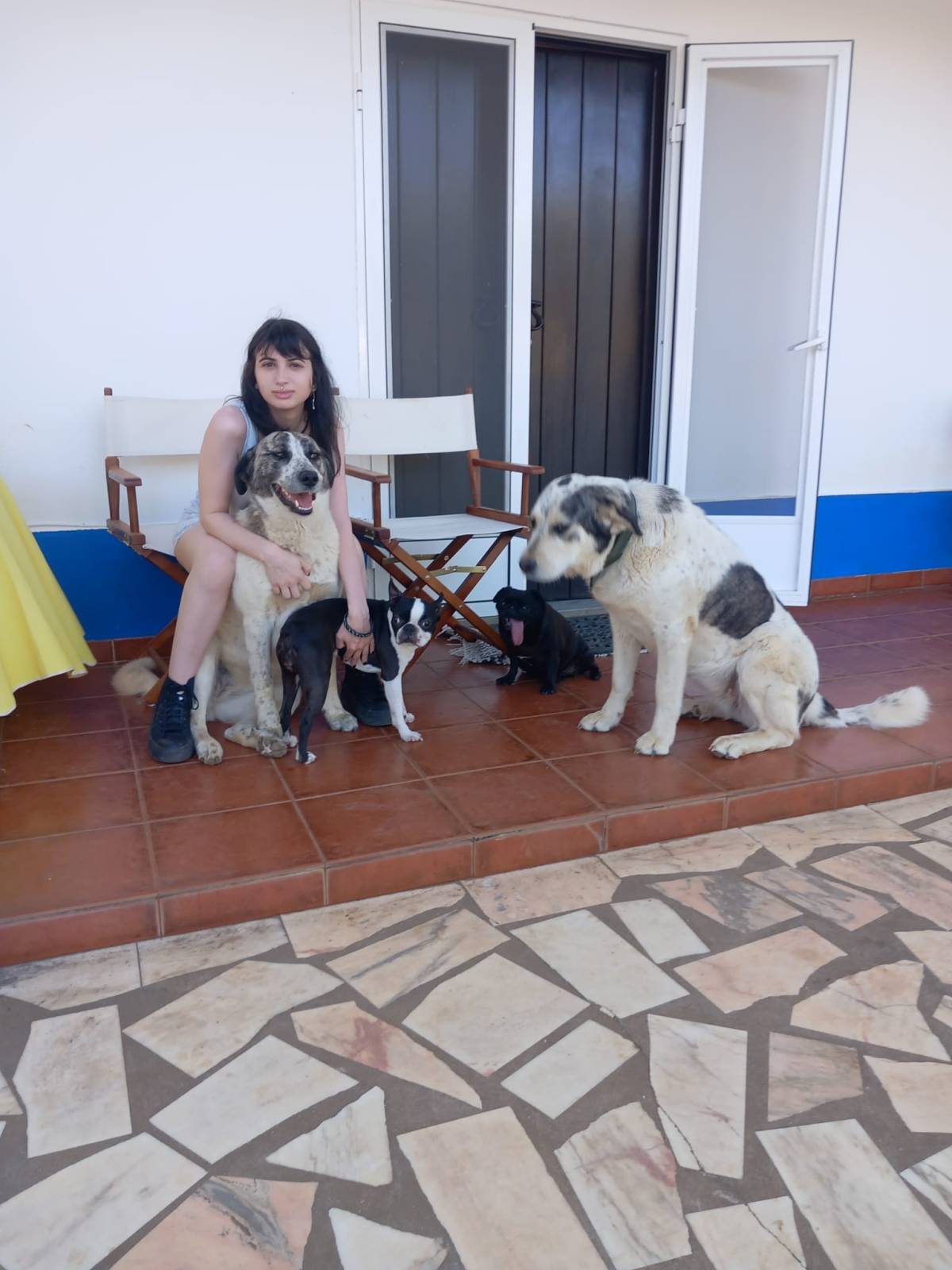 Vanda Fernandes - Cascais - Services pour animaux de compagnie