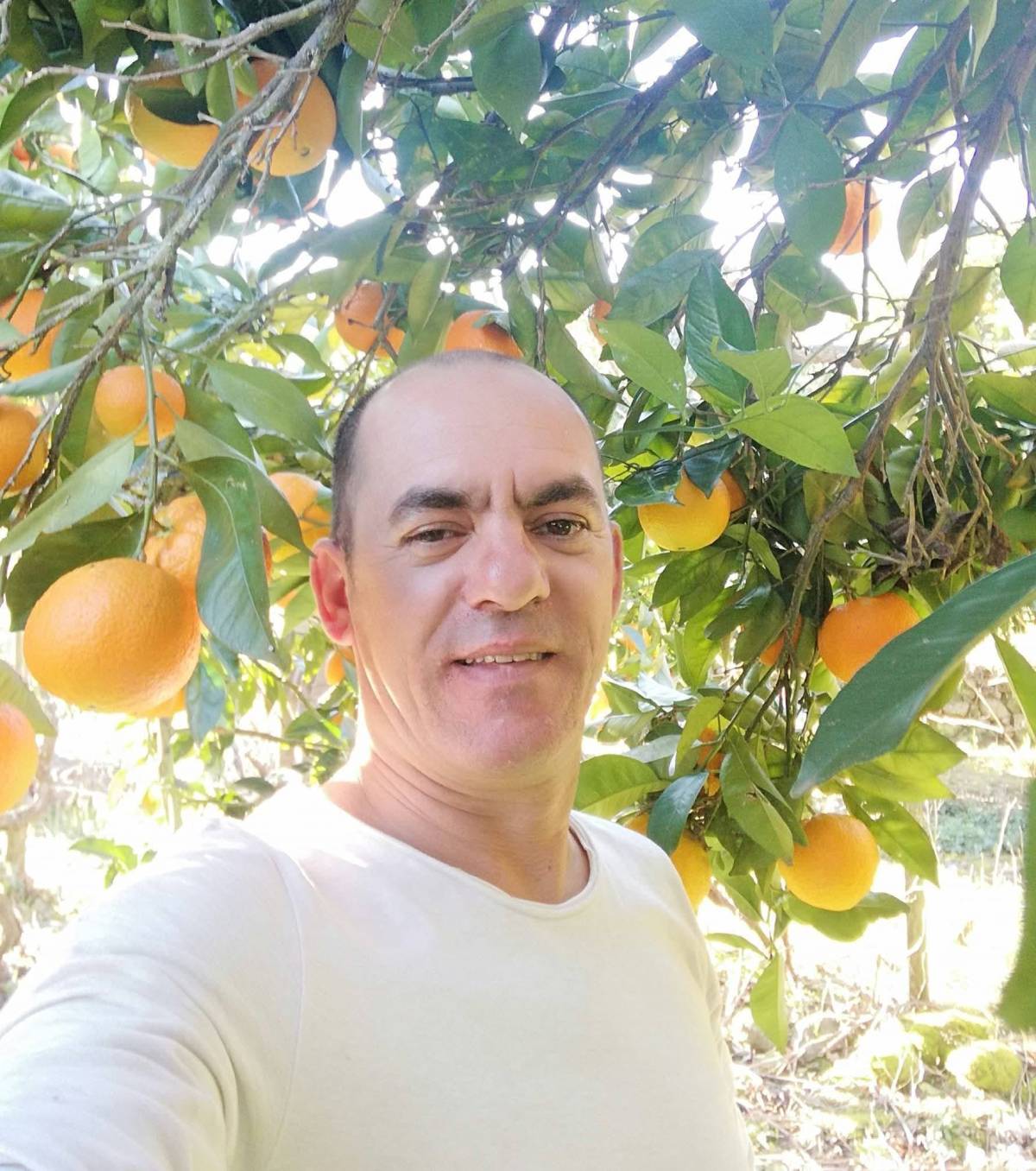 José Coutinho - Seixal - Marcenaria Fina