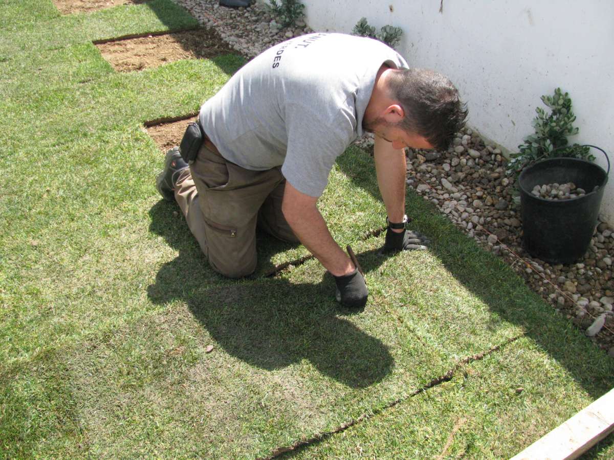 joaquim gouveia - Castelo de Paiva - Greenhouse Services