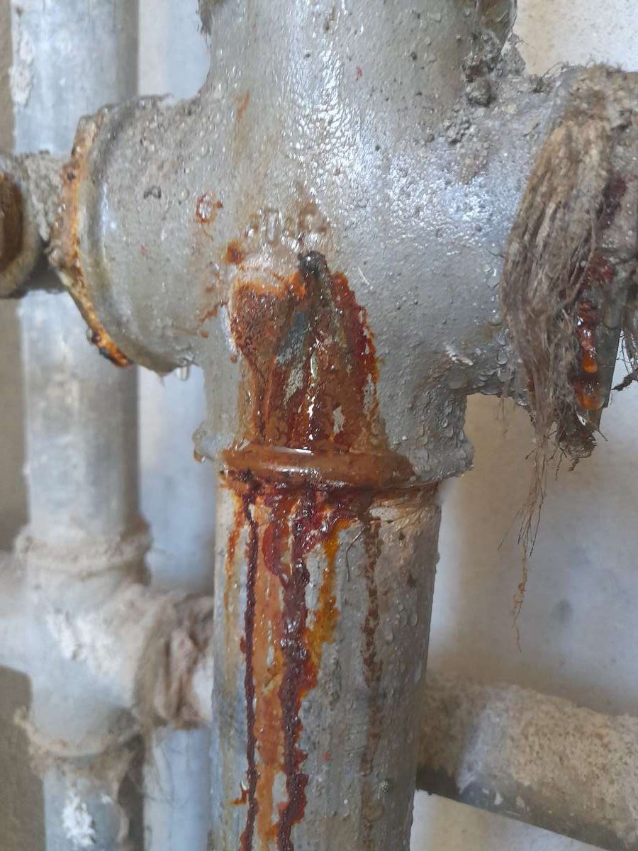 jorge rodrigues - Loures - Septic System Repair or Maintenance