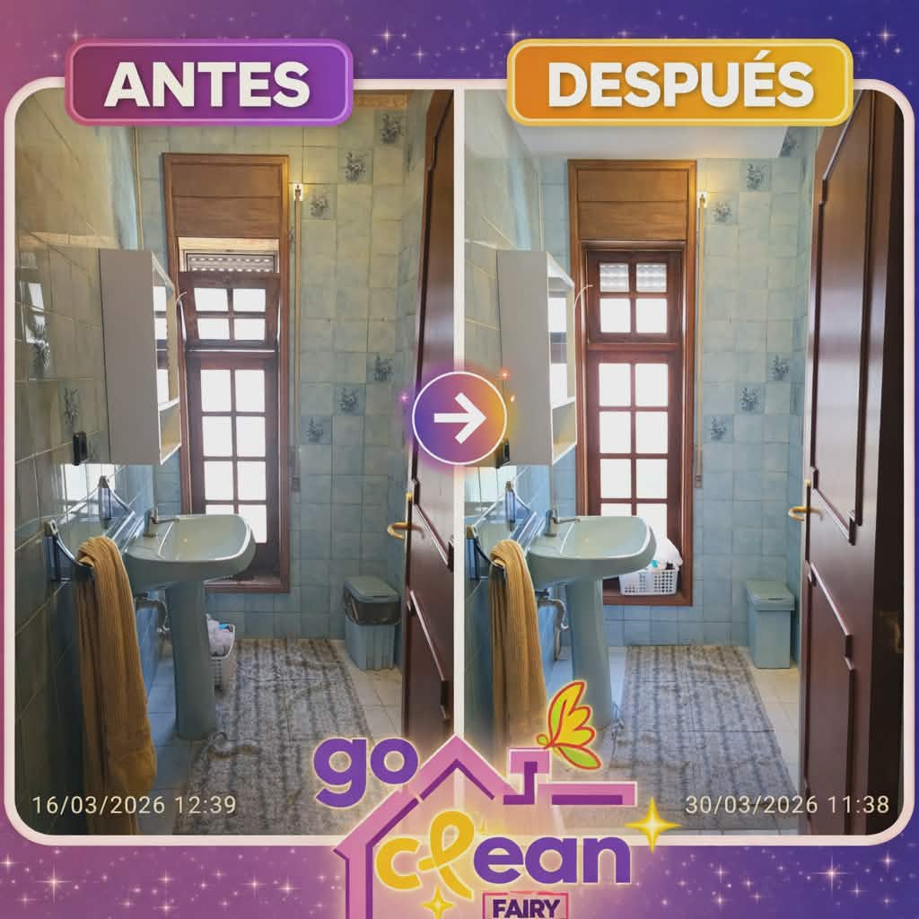 Go Clean Fairy - Póvoa de Varzim - Window Blinds Cleaning