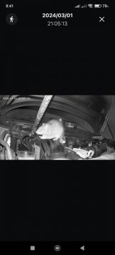 Pest Control Services