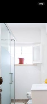Window Blinds