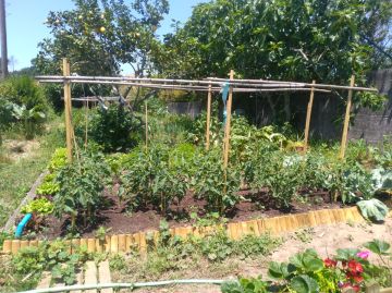 Serviço de Jardinagem - Casa