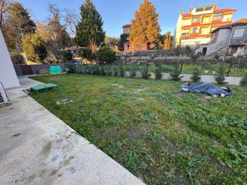 Artificial Turf Specialist