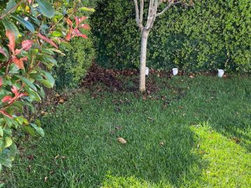 Service de jardinage - Maison