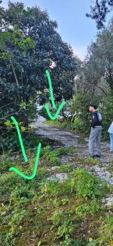 Serviço de Jardinagem