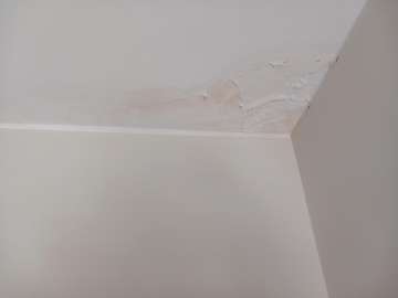 Painters