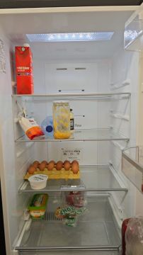 Kühlschrank reparieren oder warten