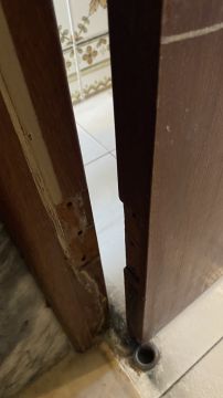 Especialista em Reparação de Portas