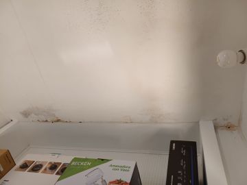 Reparação ou Manutenção de Telhado