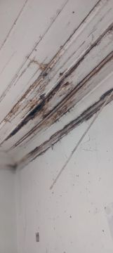 Reparação ou Manutenção de Telhado