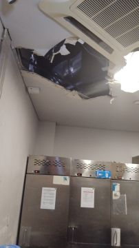 Drop Ceiling professional