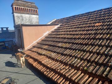 Telhados e Coberturas