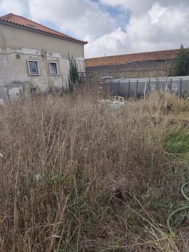Jardinagem - Jardinagem e Relvados