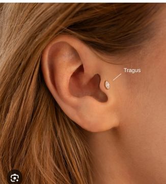 Loja de Piercings