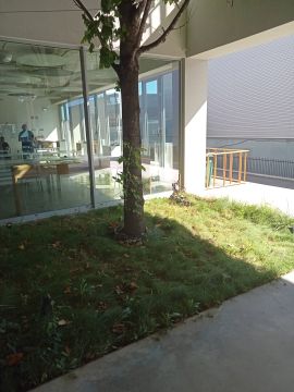 Serviço de Jardinagem