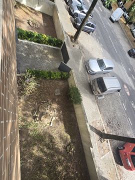 Jardinagem