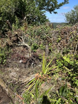 Limpeza de Terrenos - Jardinagem e Relvados