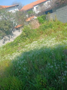 Gardener - Home Improvements