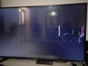 TV Repair Specialist