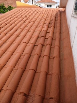 Reparação ou Manutenção de Telhado