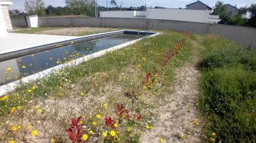 Landscaping - Home Improvements