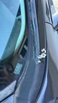 Car Painter
