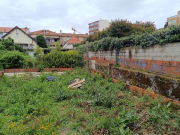 Especialista de Limpeza de Terrenos