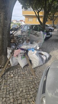 Especialista em Remoção de Lixo e Entulho