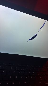 Especialista em Computadores