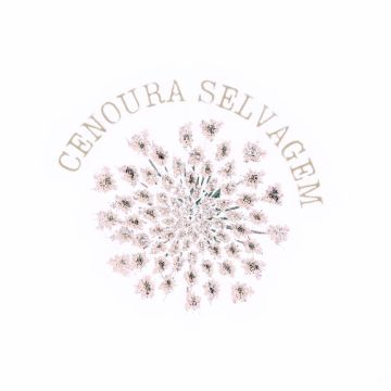 Graphic Designer