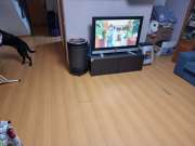Tile Installation Professional