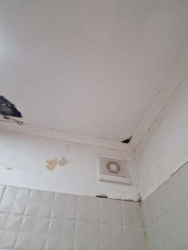 Remodelações e Construção