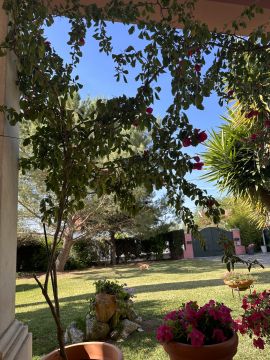 Serviço de Jardinagem