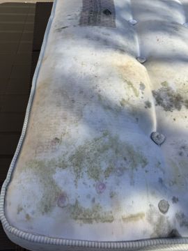 Especialista de Limpeza de Colchões - Serviços Domésticos