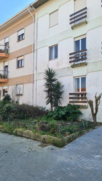 Serviço de Jardinagem