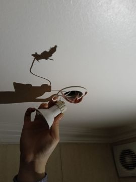 Electricista